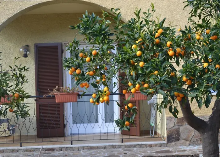 Bed and Breakfast Etesia Olbia